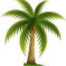 van der palme