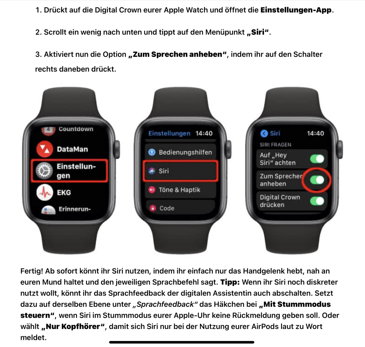 Apple Watch zum Sprechen Arm anheben.png