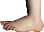 Python-Foot.png