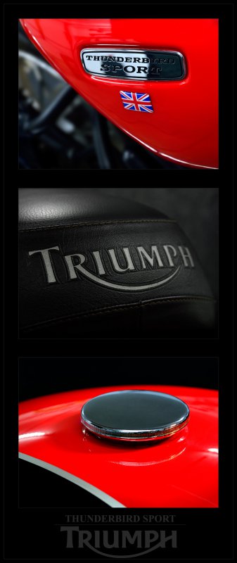 Triumph-TBS_DETAILS_small.jpg