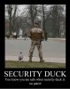 Funniest_Memes_security-duck-you-know-you-are-safe_17186.jpeg