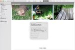 Mac Fotos 10.15 Beta - Datei Info.jpeg