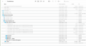 Inhalt Externes Laufwerk WD.png