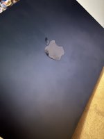 IMG_2499.jpeg IMG_2499.jpeg