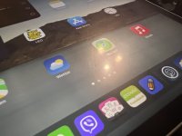 IMG_2814.jpeg IMG_2814.jpeg