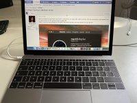 IMG_5009.jpeg IMG_5009.jpeg