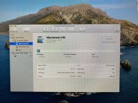 IMG_5306.jpeg IMG_5306.jpeg