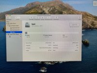 IMG_5308.jpeg IMG_5308.jpeg