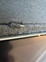 IMG_4365.jpeg IMG_4365.jpeg