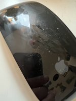 IMG_4406.jpeg IMG_4406.jpeg