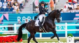 IMG_7154.jpeg IMG_7154.jpeg