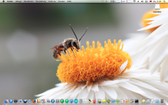 Bildschirmfoto 2024-08-22 um 09.26.52.png