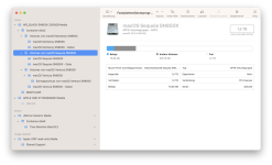 FPDP@iMac18.3.png FPDP@iMac18.3.png