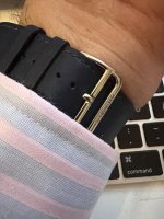 IMG_4669.jpeg IMG_4669.jpeg