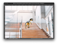 Bildschirmfoto 2024-10-15 um 17.33.54.png