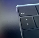 IMG_9380.jpeg IMG_9380.jpeg