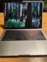 IMG_4175.jpeg IMG_4175.jpeg