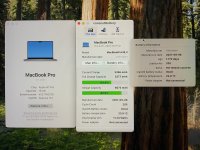 IMG_4173.jpeg IMG_4173.jpeg