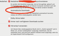 Bildschirmfoto 2024-12-22 um 15.38.08.png