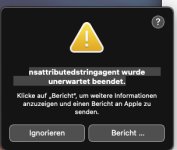 Bildschirmfoto 2025-01-30 um 13.09.31.JPG