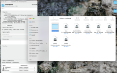 Bildschirmfoto 2025-04-11 um 10.06.58.png