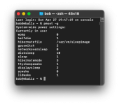 pmset -g mba11 ventura.png