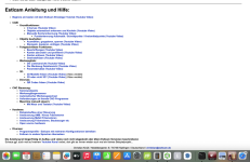 11. Ikone verschwunden.png