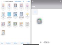 IMG_8513.jpeg IMG_8513.jpeg