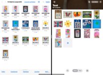 IMG_8530.jpeg IMG_8530.jpeg