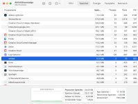 Screenshot Aktivitätsanzeige.jpg