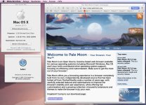 05 Lion dd1HS Safari PaleMoon Success 2.jpg 05 Lion dd1HS Safari PaleMoon Success 2.jpg