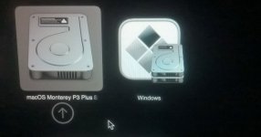 MBP-Bootpicker-02.jpg MBP-Bootpicker-02.jpg