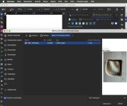 JPEG mit Inkscape öffnen.jpg