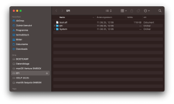 OCLP-EFI-02.png OCLP-EFI-02.png