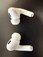 IMG_9980.jpeg IMG_9980.jpeg