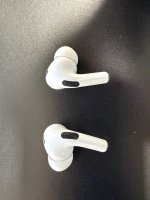 IMG_9981.jpeg IMG_9981.jpeg