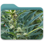 1758374738407.png 1758374738407.png