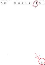 IMG_1037.jpeg IMG_1037.jpeg