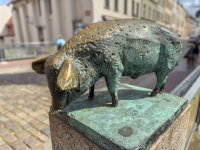 2024-08-05_14-49-03.jpg 2024-08-05_14-49-03.jpg