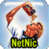 NetNic