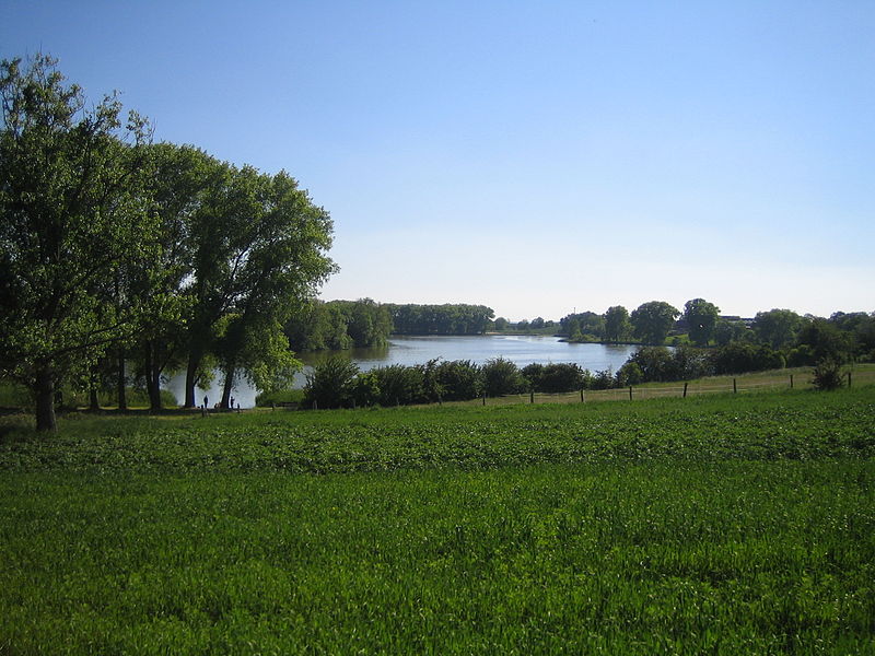 800px-Lake_de_gruenow_gruenowersee_nordseite.jpg